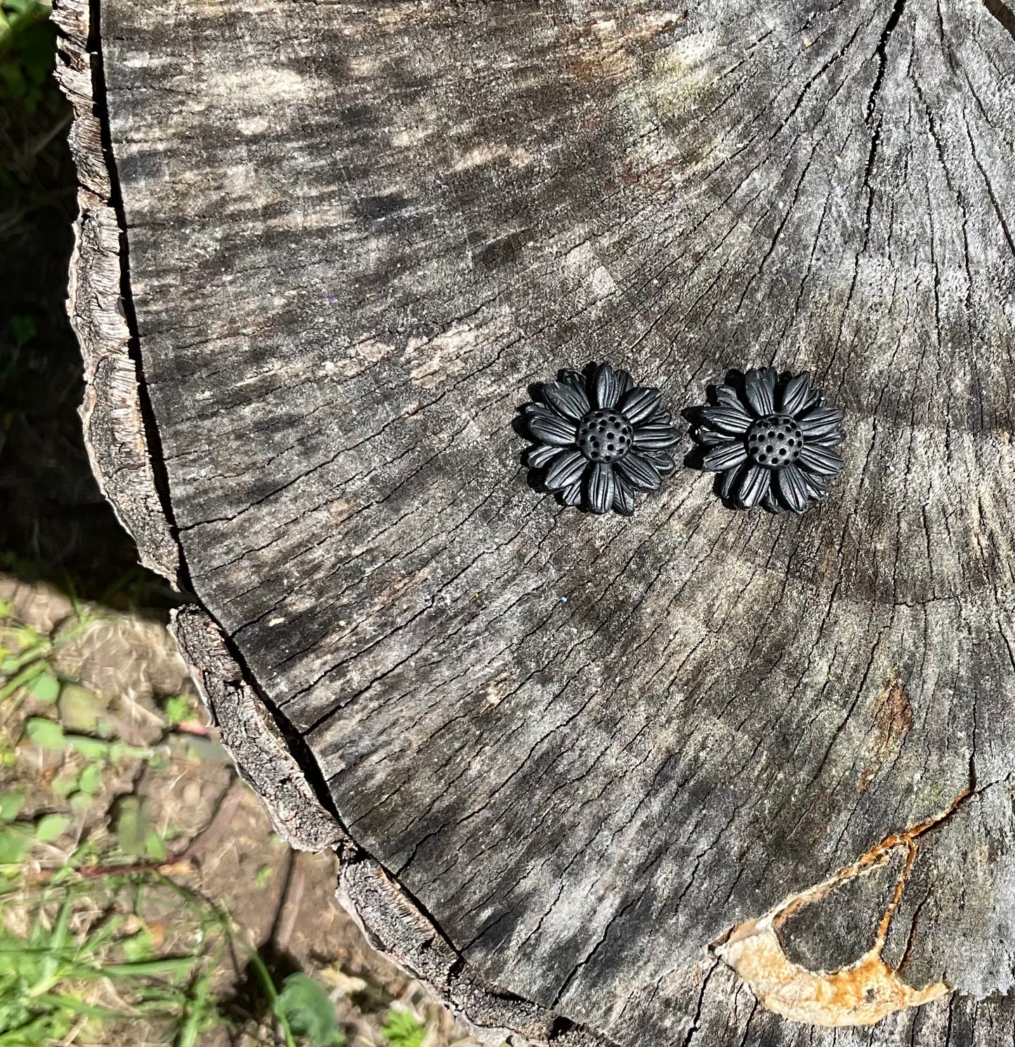 Obsidian Daisies