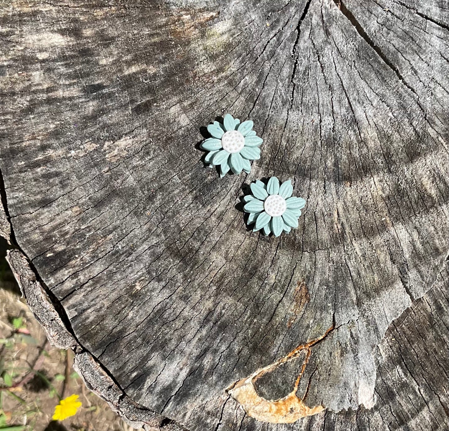 Seafoam Daisies