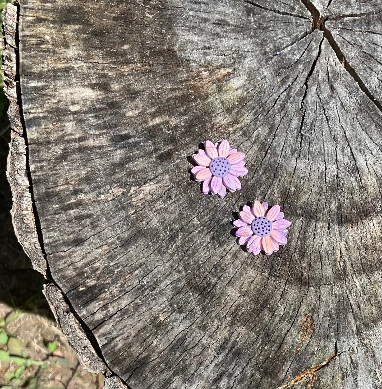 Dusky Daisies