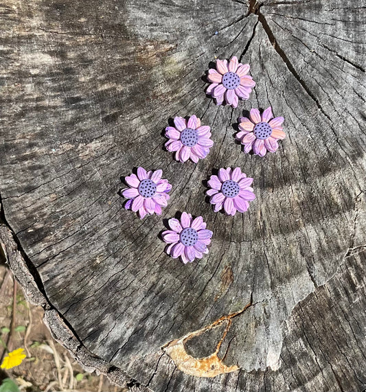 Dusky Daisies