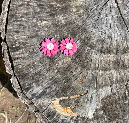 Rosette Daisies