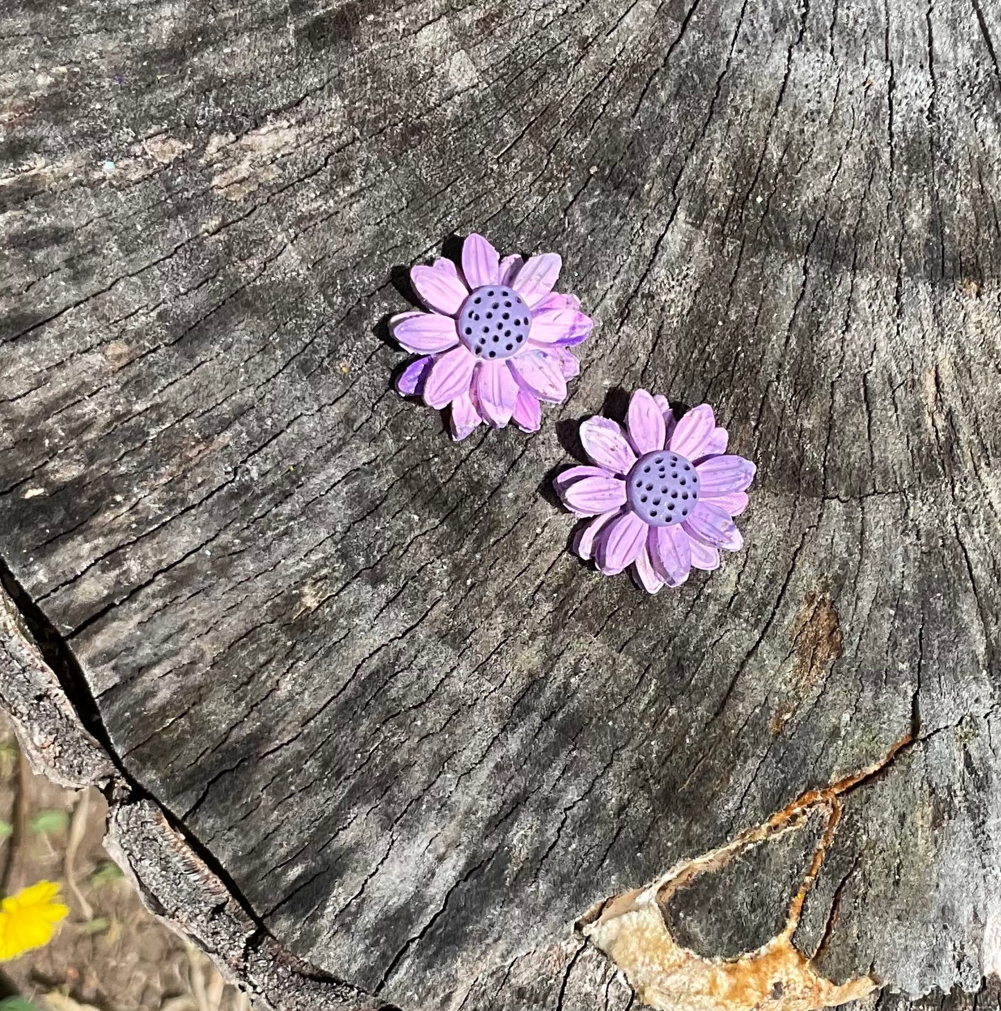 Dusky Daisies