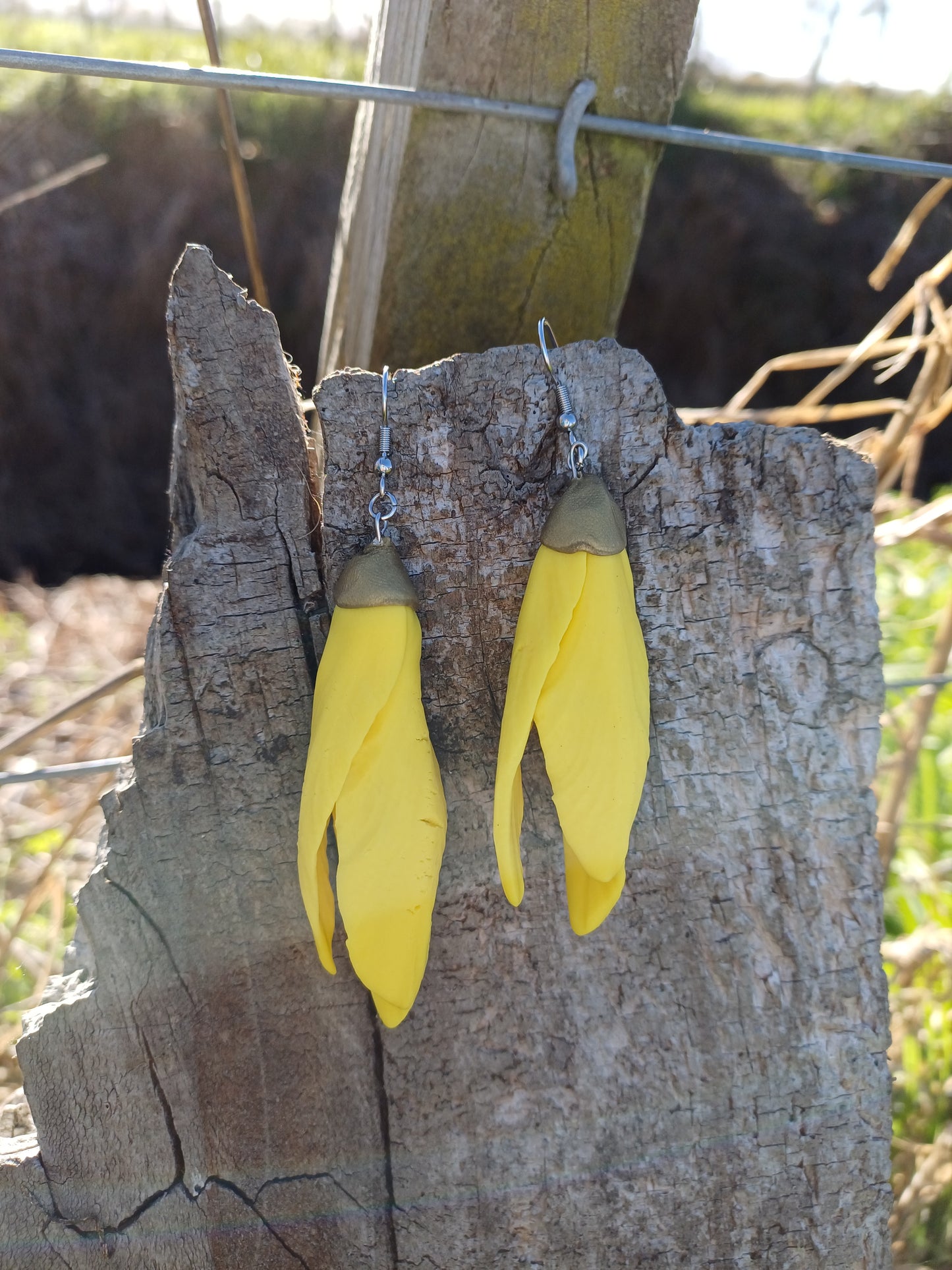 Kowhai - Danglies