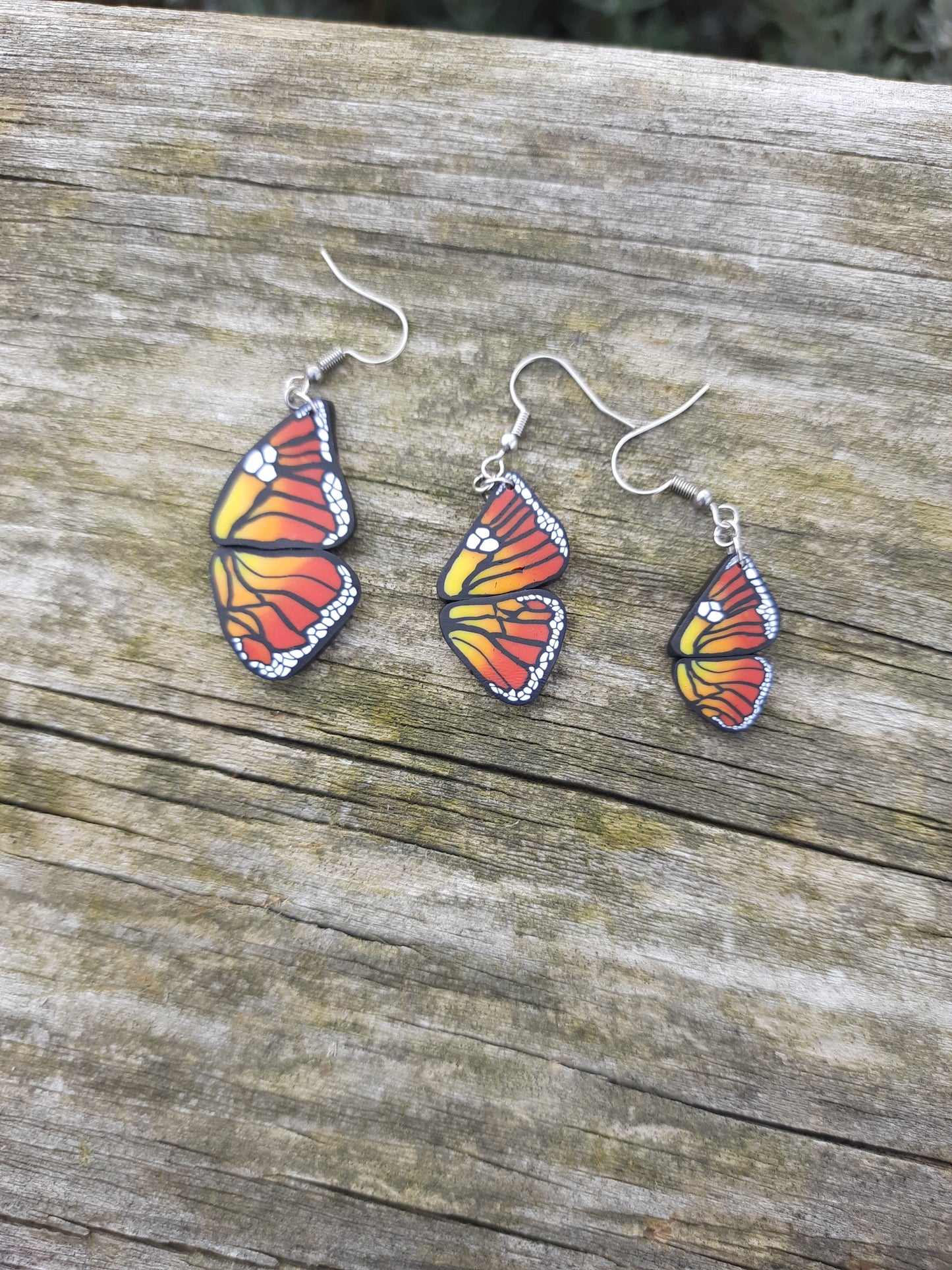 Monarch Butterflies