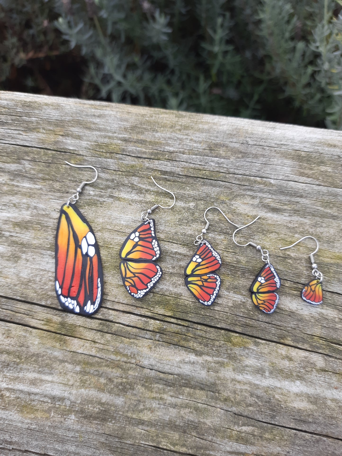 Monarch Butterflies